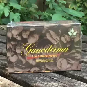 Ganoderma 2 in 1 Black Coffee